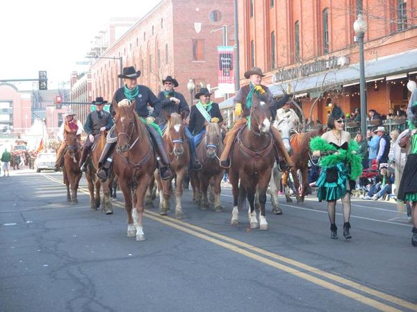 St. Patricks Day - Horses