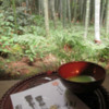 tea-and-bamboo