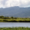 Tanada Reservoir, Dole Plantation