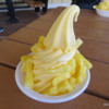 Dolewhip at the Dole Plantation