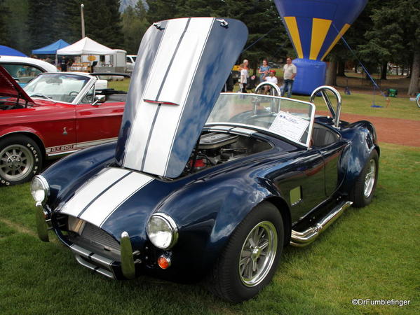 1965 Shelby Cobra (Replica) (4)