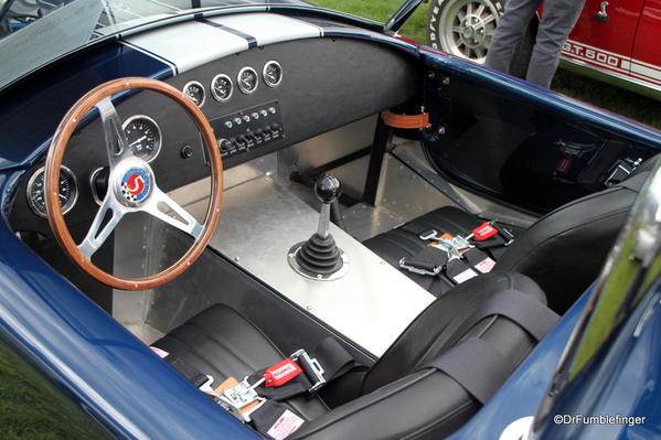 1965 Shelby Cobra (Replica) (7)