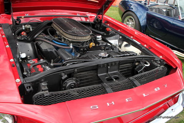 1968 Shelby GT 500 (10)