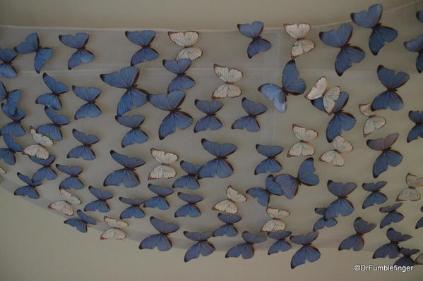 006 Niagara Butterfly Conservancy 7-2013