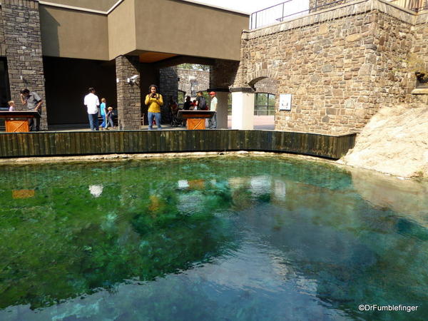 Geothermal pool, Cave and Basin National Historic Site