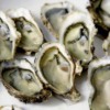oyster-1522835_1280