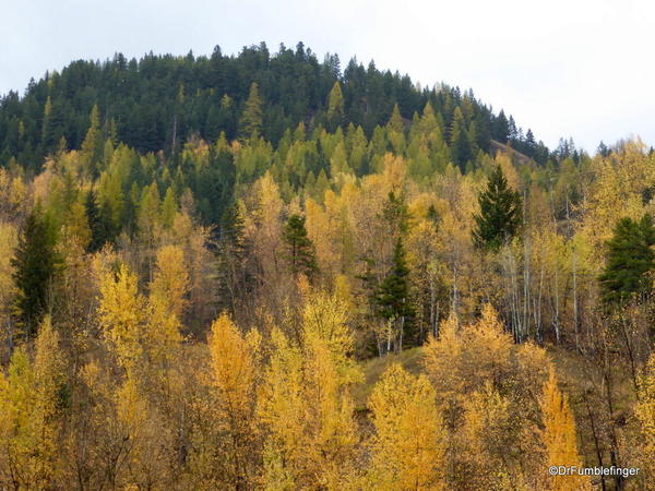 04 Fall Colors, Crowsnest