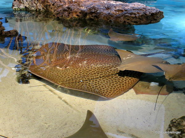 07 New England Aquarium
