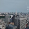 Views from the Tokyo Metropolitan Government Building: Views from the Tokyo Metropolitan Government Building