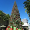 Christmas Tree, Fashion Island, Newport Beach, California
