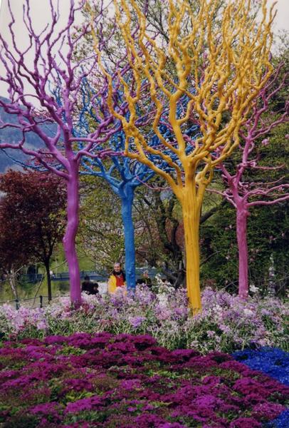 Merano Colored Trees