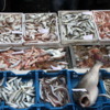 05a Catania Fish Market