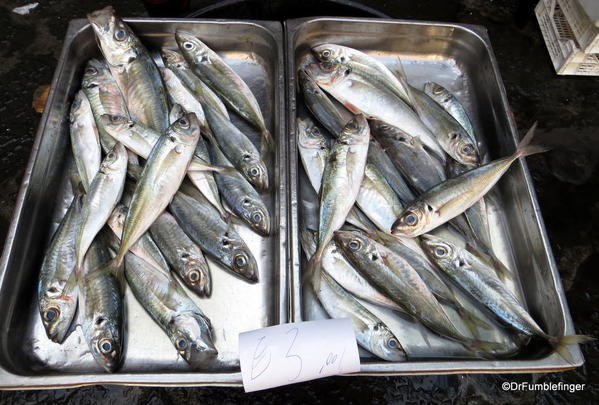 12 Catania Fish Market