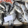 14 Catania Fish Market