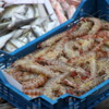 24 Catania Fish Market
