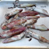 26 Catania Fish Market
