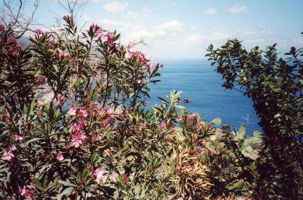 View from Taomina Sicily
