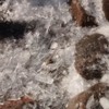 Lake Winnipeg Ice Crystals: As seen from Victoria Beach Pier, April 22, 2017