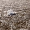 Lake Winnipeg Ice Crytstals: As seen from Victoria Beach Pier, April 22, 2017