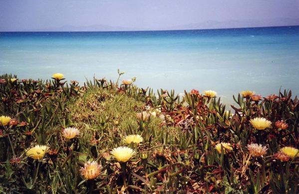 Island of Rhodes Greece