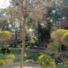Jallianwala Bagh, Amritsar