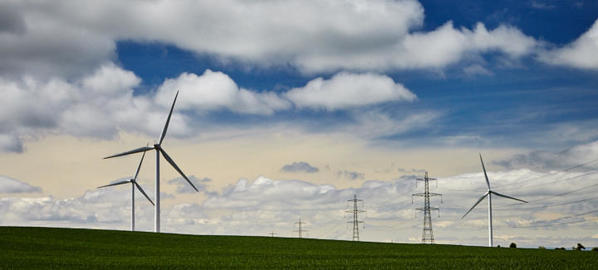 Wind turbines on farmland.