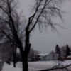 April 26, 2017: Ice Storm, Thunder Bay, Ontario: Ice accumulations cause branches to break.