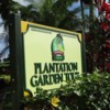 Dole-Plantation-Garden-Tour-1