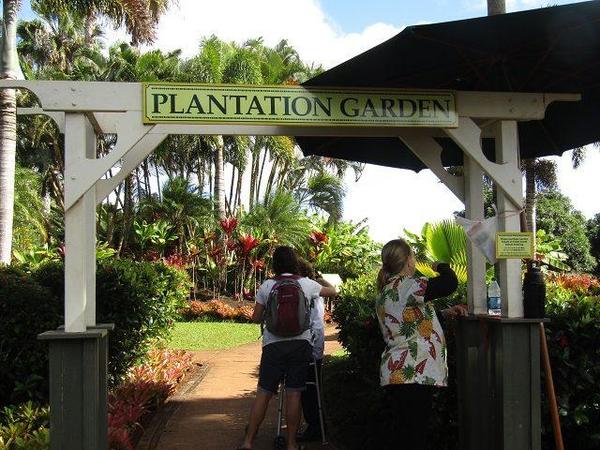 Dole-Plantation-Garden-Tour-2