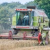The Harvest, Northumberland