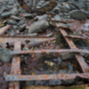 Wreck of trawler, Nova Scotia