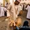 Oman-GoatMarket-101
