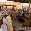 Oman-GoatMarket-106