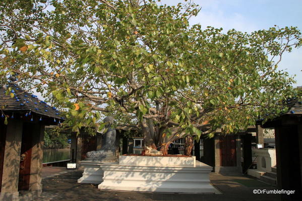 17 Seema Malaka Temple, Colombo (17)