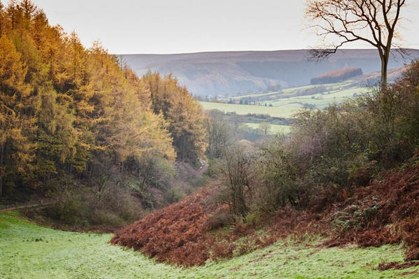 Clay Bank valley, Chop Gate area.