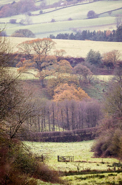Clay Bank Valley.