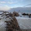 Driftwood Beach: Driftwood Beach