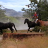 Gauchos rounding up horses, Torres del Paine NP