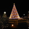 National Christmas Tree, Washington DC