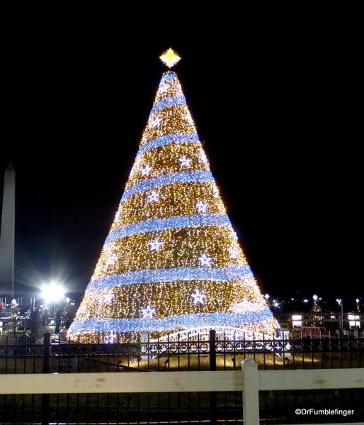 18 National Christmas Tree (8)
