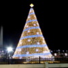National Christmas Tree, Washington DC
