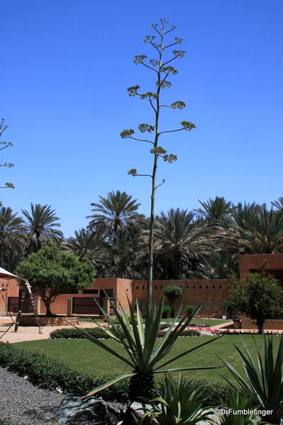 24 Al Ain Palace Museum (40)