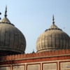 Domes of the Jama Masjid, Delhi