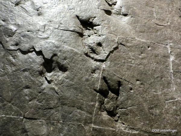 012 Royal Tyrrell Museum, Drumheller Dinosaur footprints