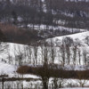 Hillside, snow and tree lines.