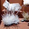 Gypsum crystals, Denver Museum of Nature and Science.