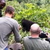gorilla-tracking-experience