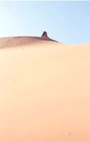 Sahara 13