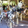 Conservation Carousel, San Diego Zoo Safari