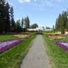 Duncan Garden, Spokane